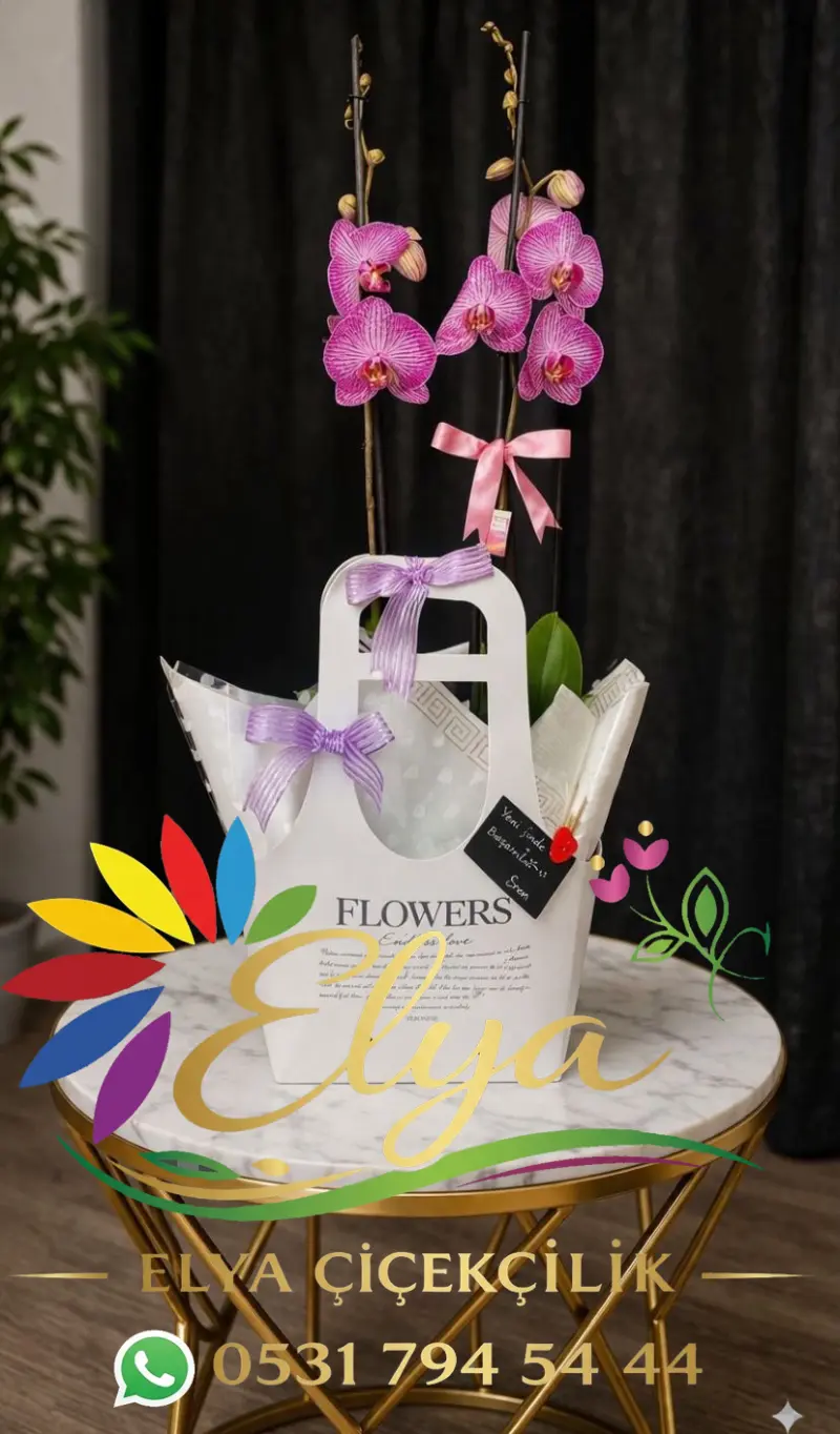 Çift Dallı Pembe Mor Mix: Renklerin Dansı - Diyarbakır Çiçek Gönder