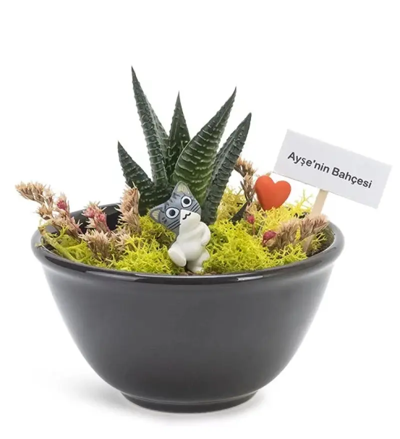 Kişiye Özel Mini Sukulent Bahçesi - Diyarbakır Çiçek Gönder